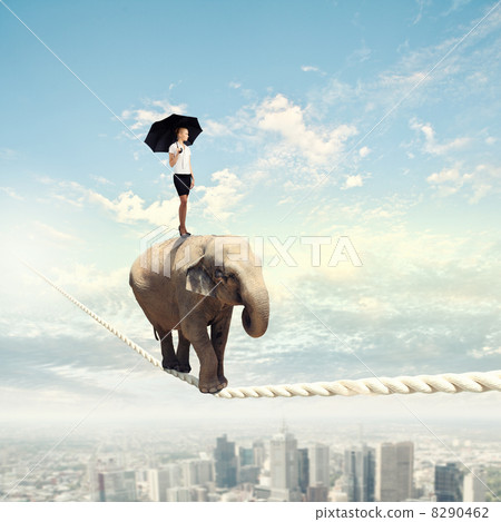 Elephant walking on rope 8290462