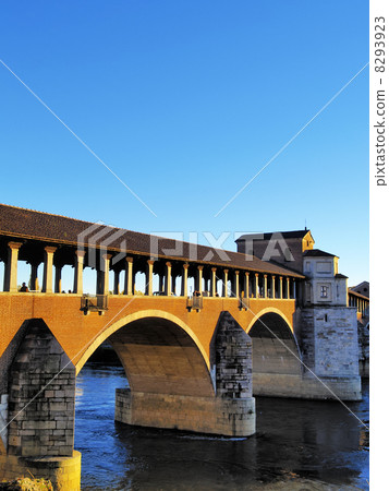 Pavia, Italy 8293923