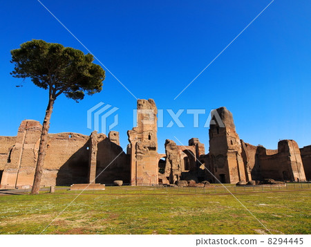 Thermes de Caracalla, Rome, Italy 8294445