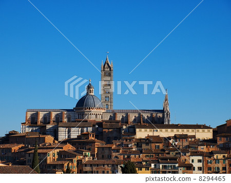 Cathedral in Siena, Italy Cathedral in Siena, Italy 8294465