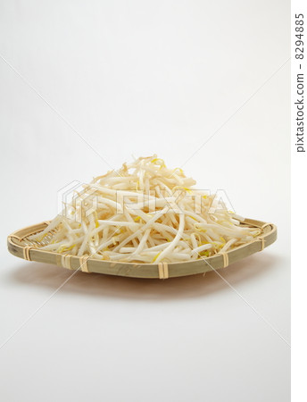 Bean sprouts 8294885