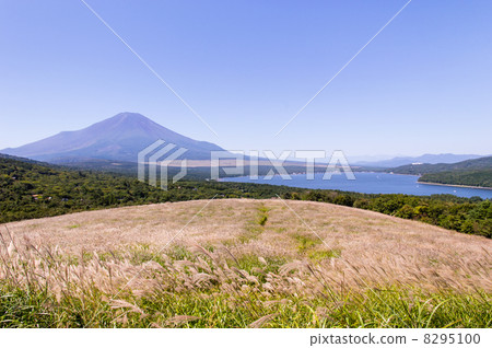 Mt. Fuji in early autumn 8295100