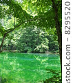 Dragon is hollow water 8295520