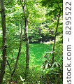 Dragon is hollow water 8295522