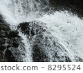 Splashes 8295524