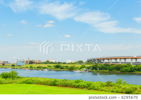 Green and blue sky of Arawa River Green and blue sky of Arawa River 8295670