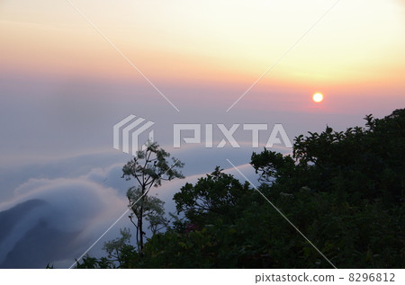 雲海與鳥取大仙的朝日崛起 8296812