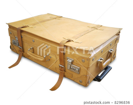 復古樹幹側身 8296836