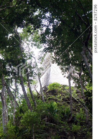 Tikal ruins in the jungle Tikal ruins in the jungle 8297296