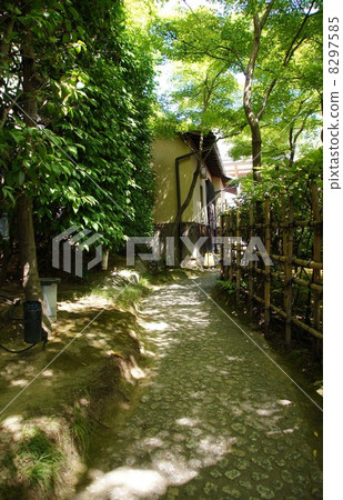 Nene no Michi 8297585