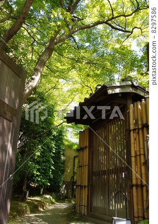 Nene no Michi 8297586