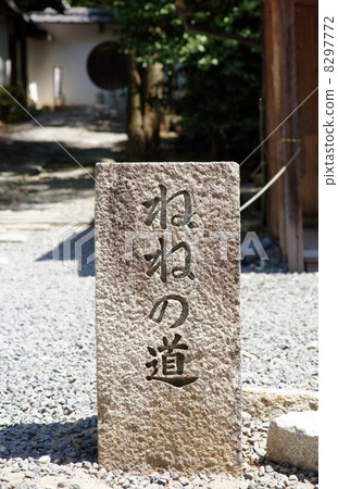 Navigate road signpost 8297772