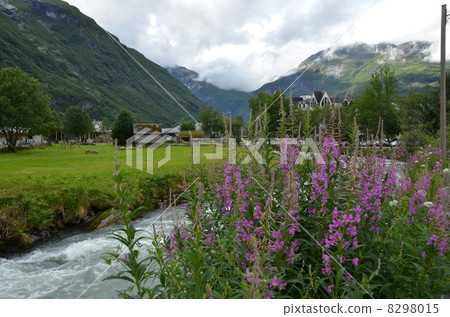 Yanagiran在蓋朗厄爾的小河岸開花 8298015