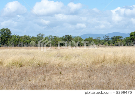 Australia Outback Australia Outback 8299470