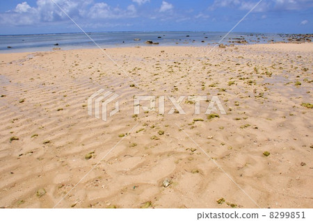 The beach of Minami Fumida 8299851