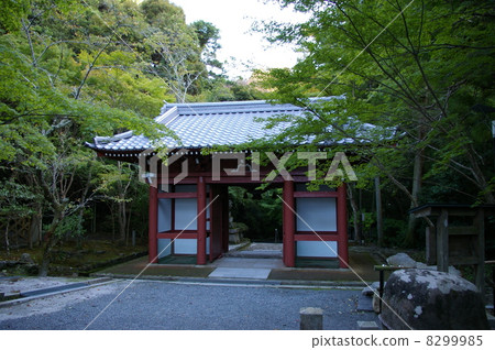 Japanese style gate Japanese style gate 8299985
