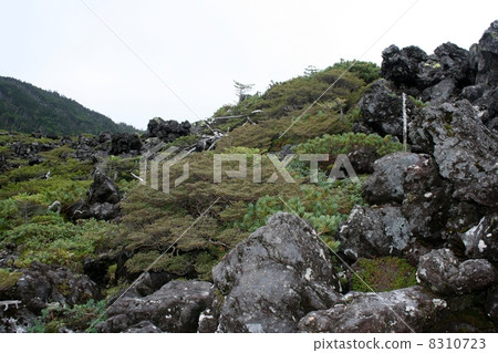 Lava Tsuboi Nature Reserve Lava Tsuboi Nature Reserve 8310723