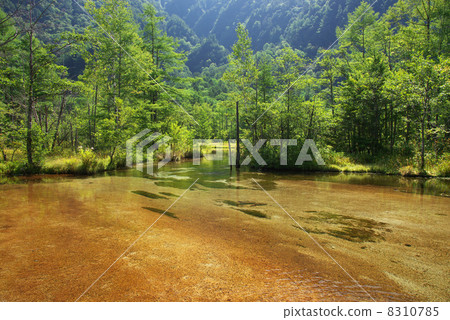 Kamikochi Tashiroike 8310785