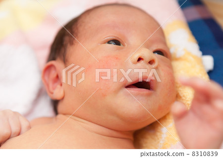嬰兒 8310839