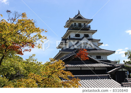 今治城堡在秋天 8310840