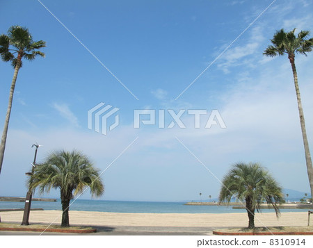 Summer sea and sandy beach 8310914
