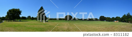 Everyone's Panoramic Panorama Photo Everyone's Panoramic Panorama Photo 8311182
