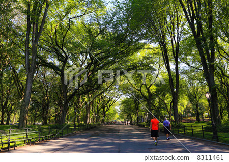 中央公園購物中心 中央公園購物中心 8311461