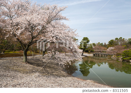 The sand dune palace of Nankei and the beach of Sakura 8311505