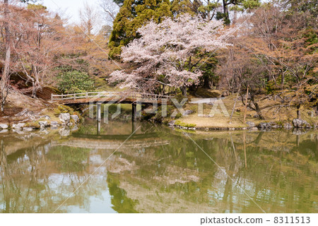 Sen-dong Imperial Colored Leaves Bridge 8311513