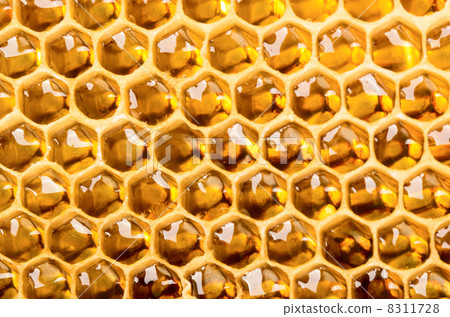 Honeycomb 8311728