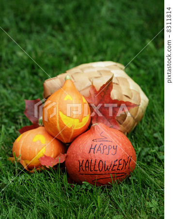 three Halloween pumpkins on green grass three Halloween pumpkins on green grass 8311814