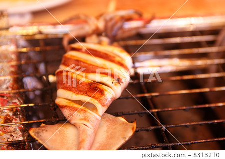 Grilled squid of sightseeing spots 8313210