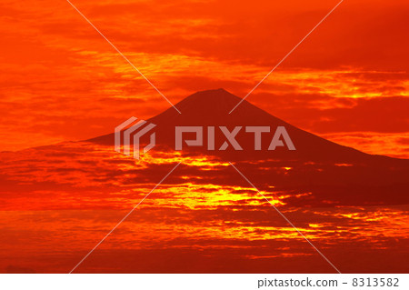 富士和雲海 8313582