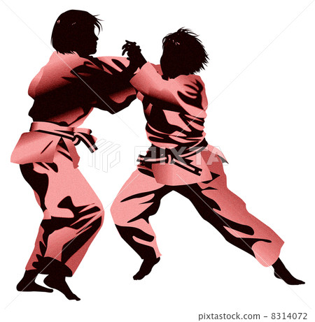 Ladies' judo (silhouette) Ladies' judo (silhouette) 8314072