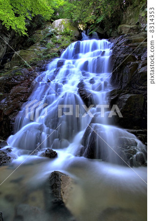 Senjuin Falls 8314353