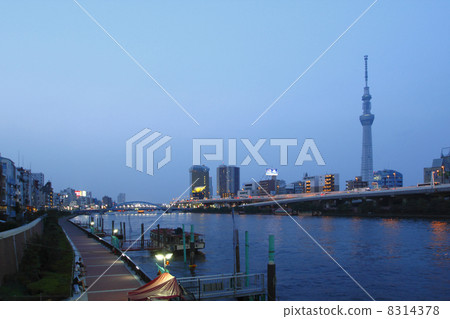 隅田川和東京天空樹夜視圖 8314378