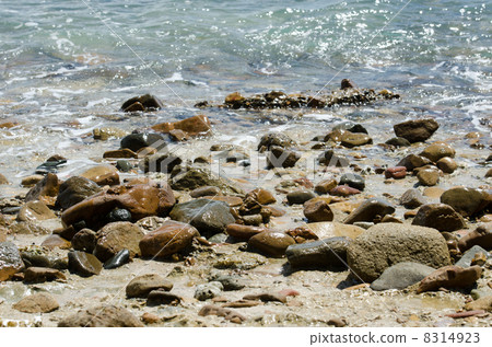 Sandy beach of Whitsunday 8314923