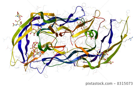 Follicle-stimulating hormone 8315073