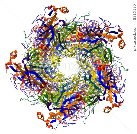 Major Capsid Protein L1 of Human Papilloma Virus type 16 molecul 8315150