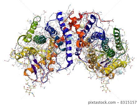 Rhodopsin (the extremely sensitive to light pigment involved in 8315157