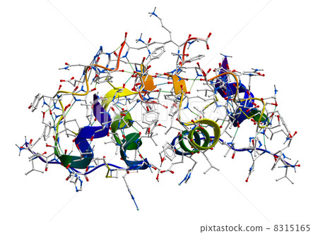 Insulin molecular structure 8315165