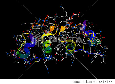 Insulin 3D molecular model 8315166
