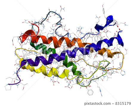 Human growth hormone somatotropin Human growth hormone somatotropin 8315179