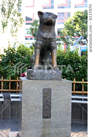 Hachiko 8315970