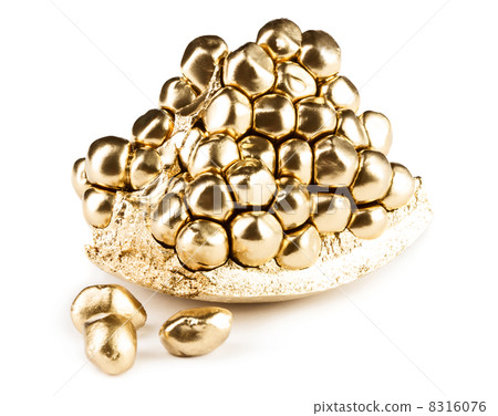 Gold pomegranate Gold pomegranate 8316076