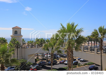 Los Angeles suburban beach, summer holiday 8316483