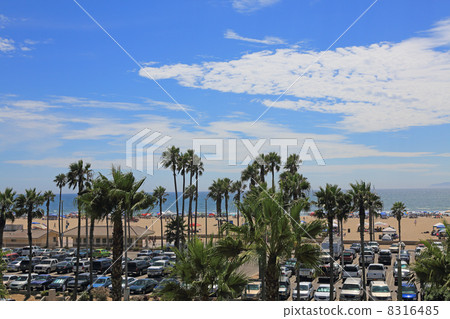Los Angeles suburban beach, summer holiday 8316485