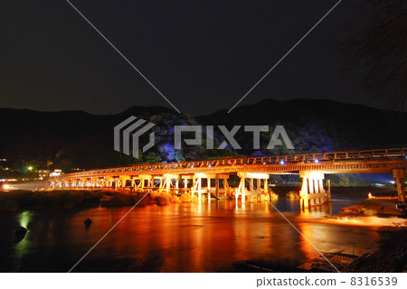 Arashiyama Flower Light Road Arashiyama Flower Light Road 8316539