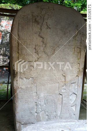 Maya ruins of Tikal stone plate Maya ruins of Tikal stone plate 8316571