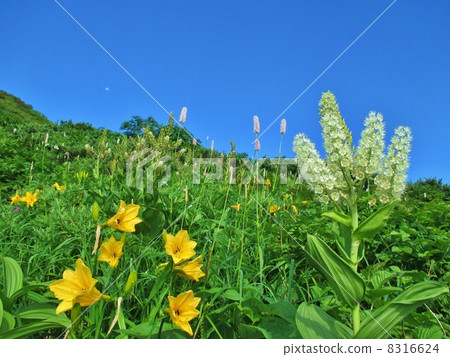 夏天的山 8316624